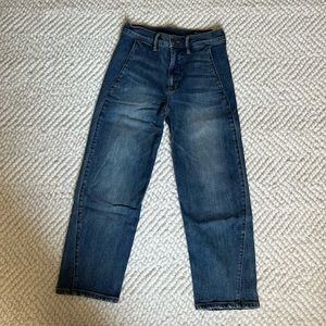 Vince /  twisted seam straight leg cropped jeans / size 25